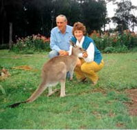 Bimbimbi and Little Hollow Farm Stay - Sydney Tourism