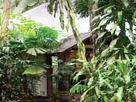Heritage Lodge And Spa - In The Daintree - Sydney Tourism 0