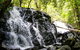 Bellthorpe Stays - Nature's Retreat - thumb 1