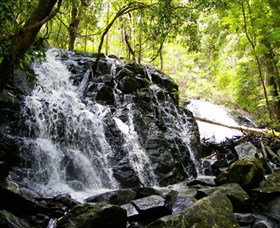 Bellthorpe Stays - Nature's Retreat - Sydney Tourism 1