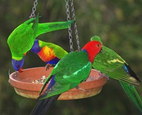 Bellthorpe Stays - Nature's Retreat - Sydney Tourism 3