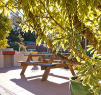 Best Western Alpine Motor Inn