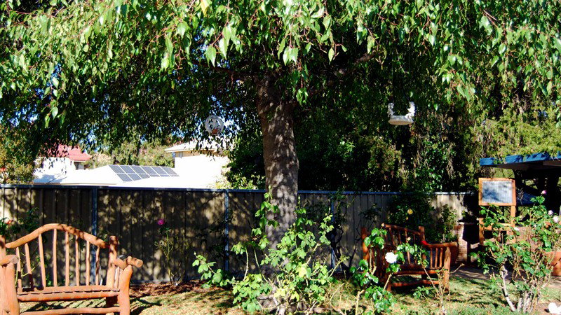 Mudgee NSW Sydney Tourism