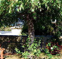 BEST WESTERN Wanderlight Motor Inn - Sydney Tourism