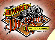 Book Tamborine Accommodation Vacations Sydney Tourism Sydney Tourism