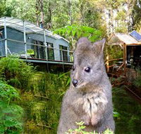 Huon Bush Retreats - Sydney Tourism