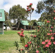 Derwent Bridge Chalets  Studios - Sydney Tourism