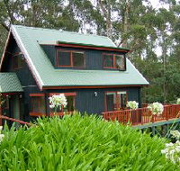 Tree Tops Cascades - Sydney Tourism