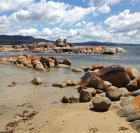 Lake Eckersley campground - Sydney Tourism