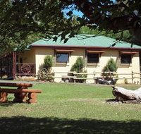 Springfield Deer Farm - Sydney Tourism