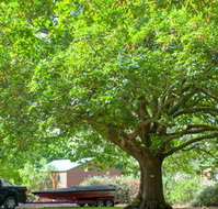 Lakes and Craters Holiday Park - Sydney Tourism