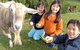 Johanna River Farm And Self Contained Cottages - thumb 0