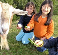 Johanna River Farm and Self Contained Cottages - Sydney Tourism