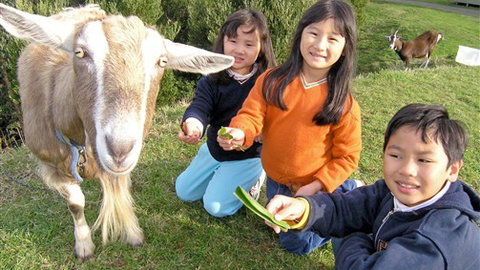 Johanna River Farm And Self Contained Cottages - Sydney Tourism 0