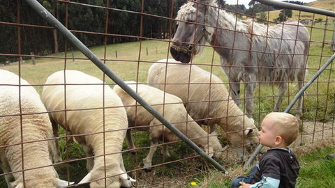 Johanna River Farm And Self Contained Cottages - Sydney Tourism 3