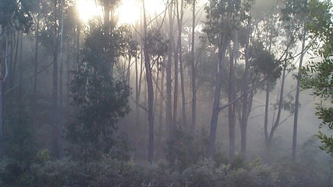 Carinya Park - Sydney Tourism 3