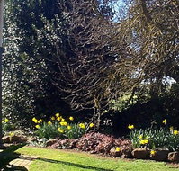 Abergeldie Bed  Breakfast - Sydney Tourism