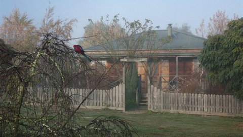 Sanctuary Park Cottages - Sydney Tourism 1