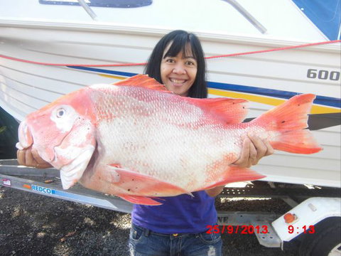 Flying Fish Point Tourist Park - Sydney Tourism 6