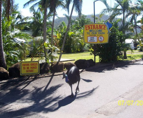 Flying Fish Point Tourist Park - Sydney Tourism 9