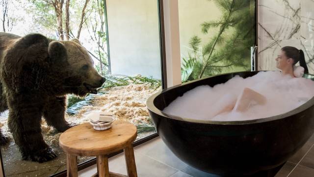 Coombs ACT Sydney Tourism