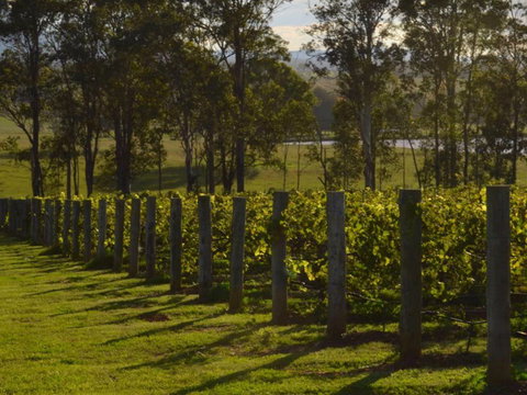 H Boutique Hotel - Sydney Tourism 3