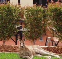 Alpha Canberra Hotel and Apartments - Sydney Tourism