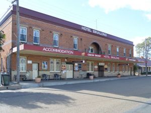 Newtown NSW Sydney Tourism