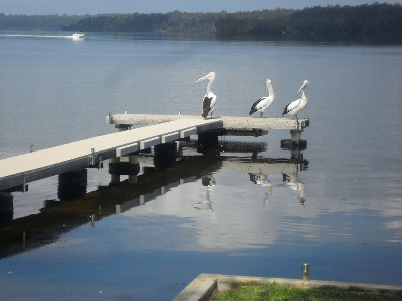Basin View NSW Sydney Tourism