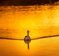 River Shack Rentals - Living the Dream - Sydney Tourism