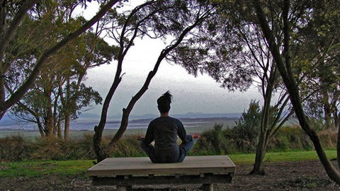 Sabrelyn Park - Sydney Tourism 4