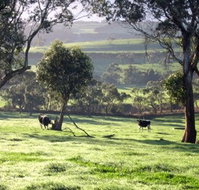 Bellevue Farmstay - Sydney Tourism