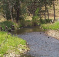 Murphy's Cabin - Sydney Tourism