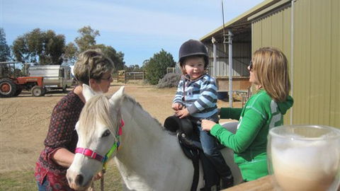Cabarita Lodge - Sydney Tourism 2