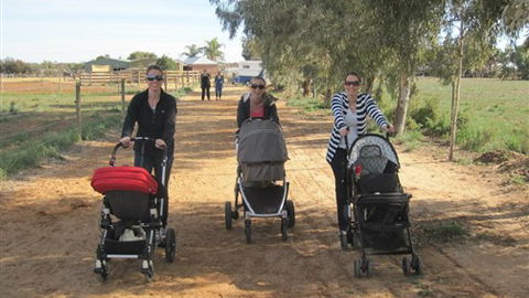 Cabarita Lodge - Sydney Tourism 3