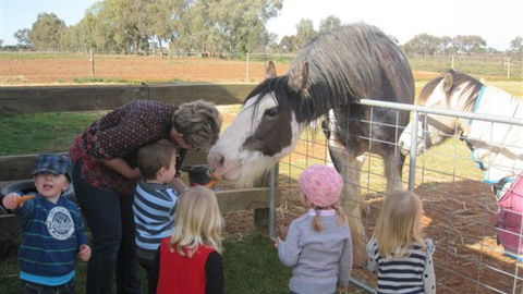 Cabarita Lodge - Sydney Tourism 4