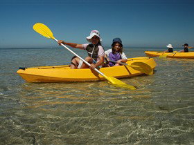 Ceduna Shelly Beach Caravan Park And Beachfront Villas - Sydney Tourism 2