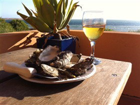 Ceduna Shelly Beach Caravan Park And Beachfront Villas - Sydney Tourism 4
