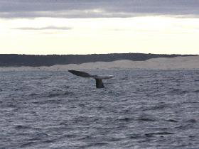 Fowlers Ocean Eco Retreat - Sydney Tourism 2