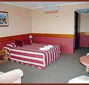 Winsor Park Motor Inn - Sydney Tourism