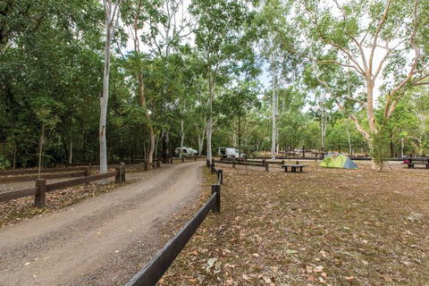 Carnarvon National Park Camping - Sydney Tourism 1