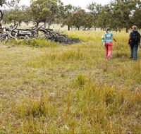 Carnarvon National Park camping - Sydney Tourism