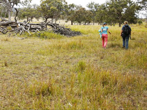Carnarvon National Park Camping - Sydney Tourism 0