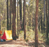 Nanga Mill Camp at Lane Poole Reserve - Sydney Tourism