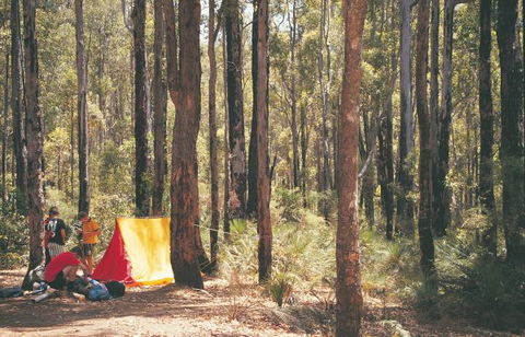 Nanga Mill Camp At Lane Poole Reserve - Sydney Tourism 0