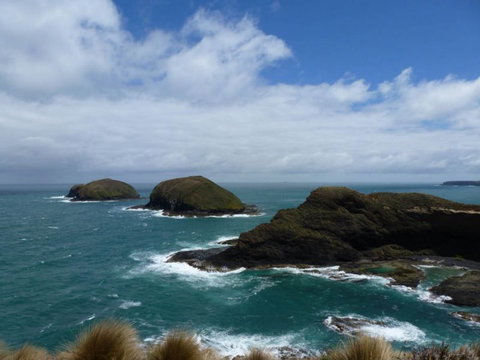 Arties Cottage Accommodation - Sydney Tourism 9