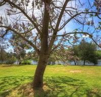 Breakaway Twin Rivers Caravan Park - Sydney Tourism