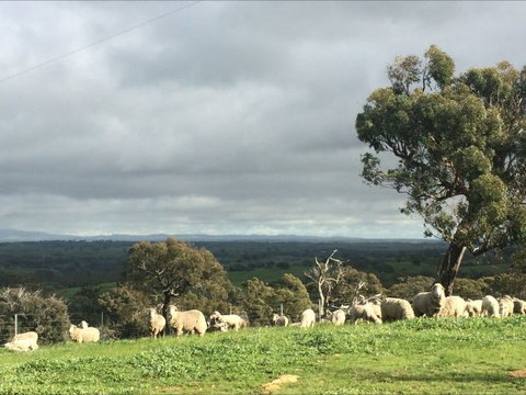 Heathcote Views Bed & Breakfast - Sydney Tourism 5