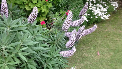 Padthaway Caravan Park - Sydney Tourism 7