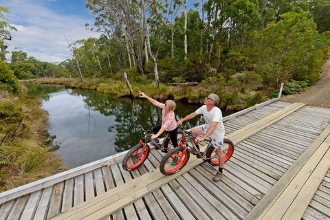 Saintys Creek Cottage - Sydney Tourism 6